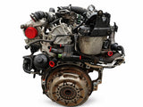 Certified Used Ford Fiesta Mk7 1.4 TDCi Duratorq Diesel 70hp Engine Assembly 2010-2012 1819098